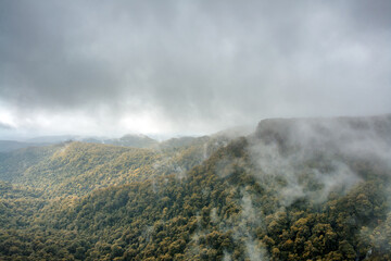 Immerse yourself in Springbrook National Park, SE Queensland, adorned with lush rainforest, creeks, and enchanting waterfalls, Australia