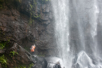 Immerse yourself in Springbrook National Park, SE Queensland, adorned with lush rainforest, creeks,...