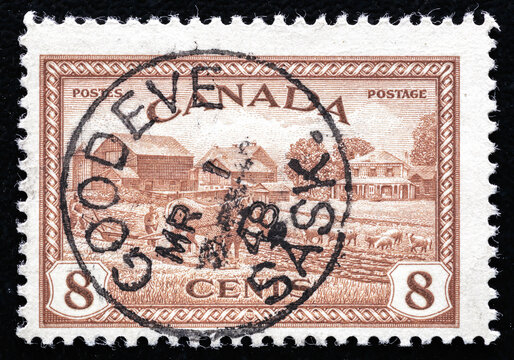 Milan, Italy – February 01, 2014: Farm & cows in a vintage canadian stamp