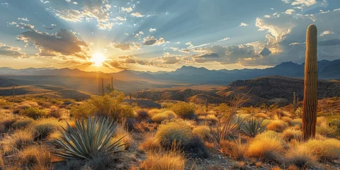 Fototapeten scenic landscape of the arizona in USA © toomi123