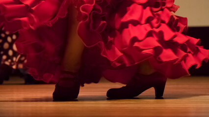 Performance of the flamenco dance