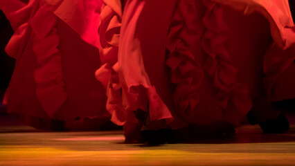 Performance of the flamenco dance - obrazy, fototapety, plakaty