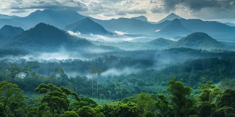  landscape of Tropical North Queensland in Australia © toomi123