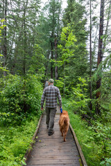Spring Hike in a northern Minnesota bog with young man and golden retriever dog at Itasca State Park near Bemidji