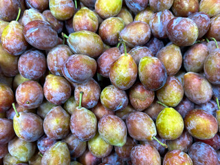 Fresh Plums