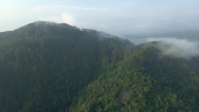 Helicopter view of rainforest on the mountain range with fog. Greenery view of forest and hill. Tropical landscape of wild jungle.
