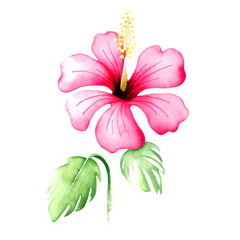 Hibiscus flower with leaves