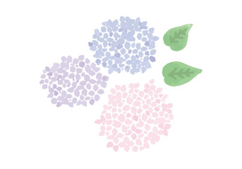 水彩風の3色の紫陽花のイラスト