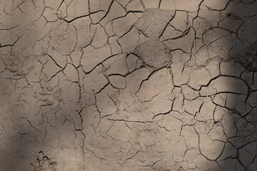 Cracked mud 