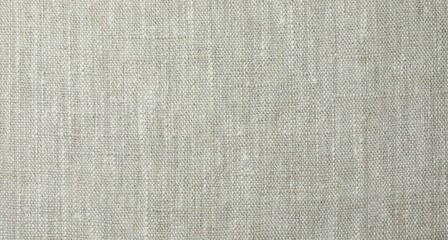 Fototapeta na wymiar Texture of light grey fabric as background, top view