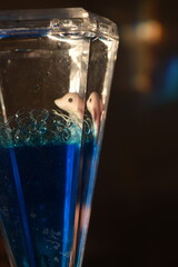 Delfín flotando en un líquido azul