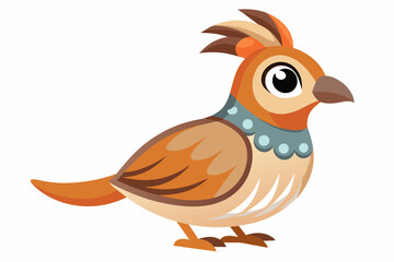 bird vector illustration