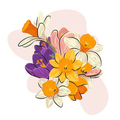 Bukiet kwiatów - żonkile, narcyzy i krokusy. Wiosenna kompozycja na białym tle. Ilustracja wektorowa. - obrazy, fototapety, plakaty