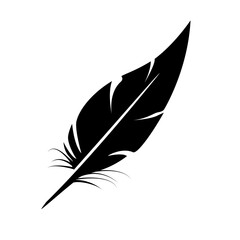 Feather icon 