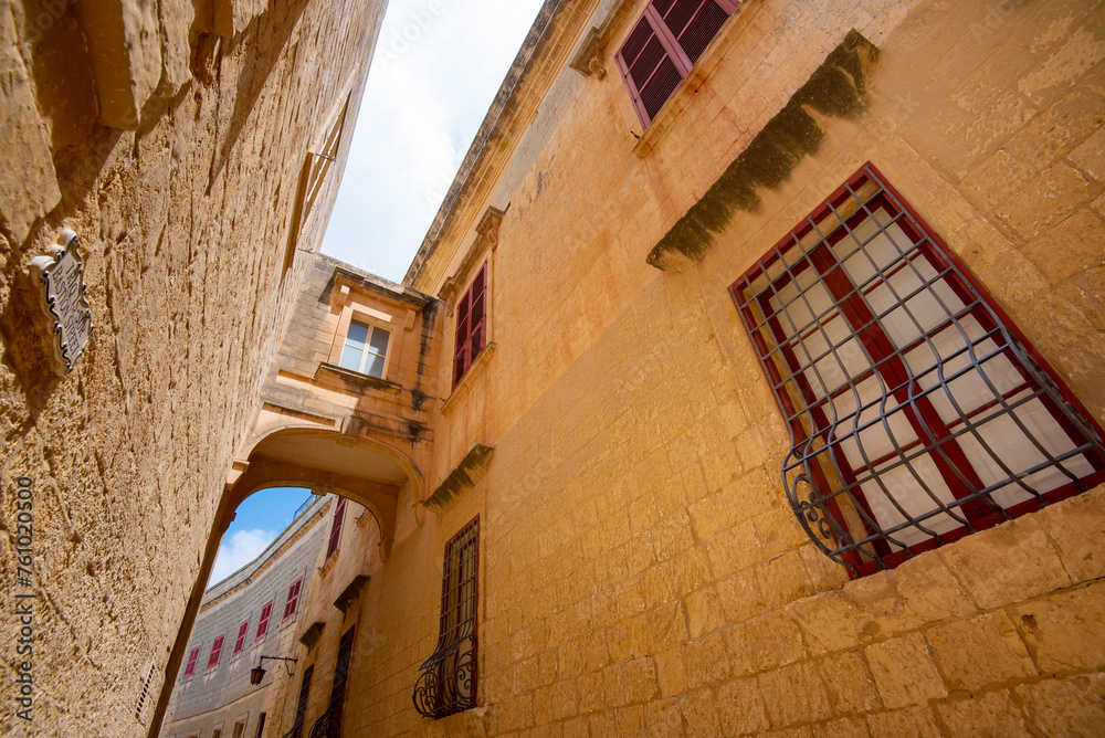 Canvas Prints mdina old city - malta