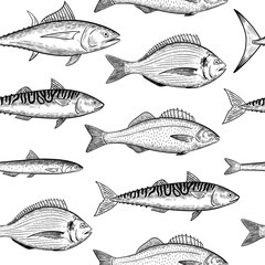 Seamless pattern with sea fishes species. Seafood fish. Vector illustration in black and white engraving style.