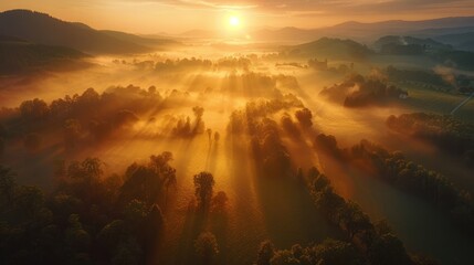 Aerial view of sunrise in a misty forest Golden sunset, mist in the mountains, flying over the valley. Green trees, morning mist, rice fields, sunrise over the horizon. beautiful natural landscape