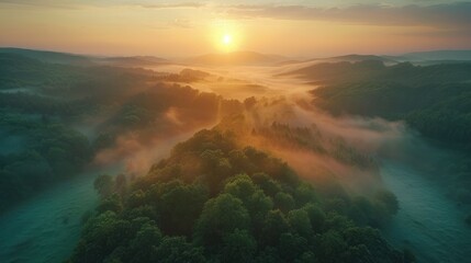 Aerial view of sunrise in the misty forest. Foggy golden sunset in mountains. Flying over green trees valley. Morning mist, country fields, sun rising above the horizon. - obrazy, fototapety, plakaty