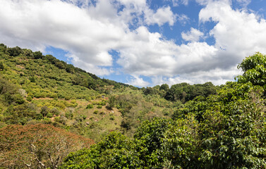 Fototapeta na wymiar Scenic view of forest and mountains from Rte 2 south of Cartago Costa Rica