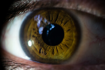 eye closeup