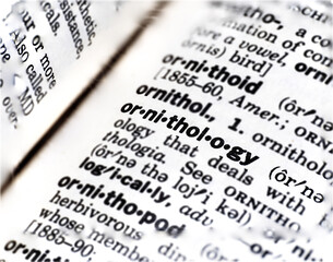 closeup of the word ornithology in the dictionary