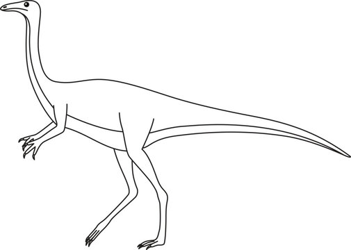 Gallimimus coloring page. Cute flat dinosaur isolated on white background