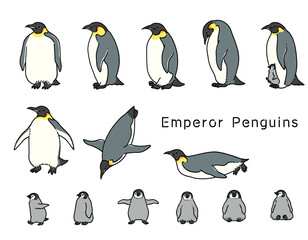 手描きの皇帝ペンギンのイラストセット