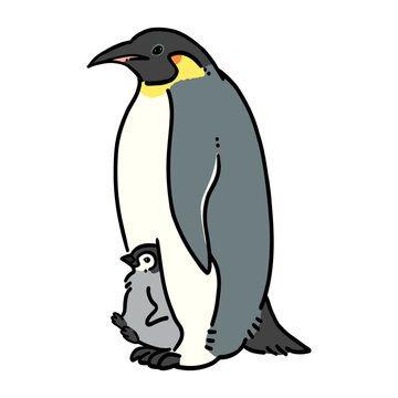 皇帝ペンギンの親子のイラスト