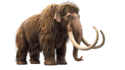 mammoth, prehistoric mammal isolated with shadow on white background