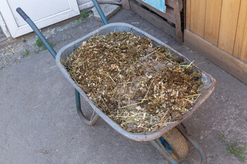 full of animal feed in one-wheeled cart of animal shelter in lviv