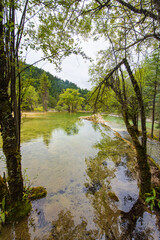 Huanglong Yaochi and spruce trees in Sichuan, China