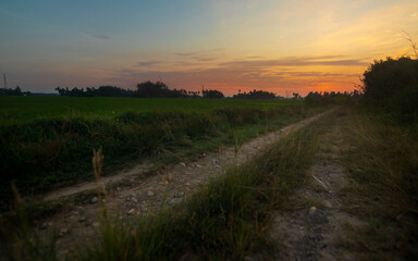 Fototapeta na wymiar Rural sunset landscape with footpath