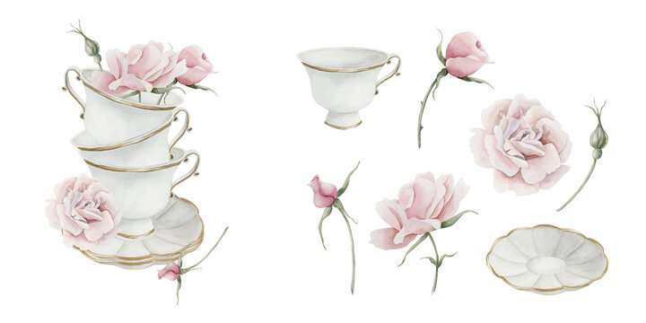 Composition of three white porcelain tea cups and saucers with gilded rim and pink rose hip flowers with isolates. Victorian style. Watercolor illustration hand painted isolated on white background. P