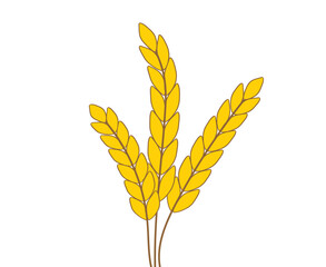 Rice icon. Rice stalk. Barley field cereal nutritious. Vector illustration