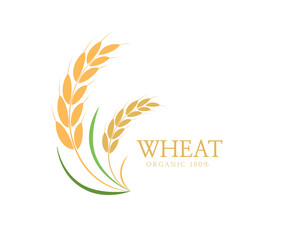 Rice product banner logo. organic grain. Ears of wheat bread. Premium quality rice. Vector illustration