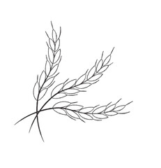 Fototapeta premium Rice icon. wheat grain. Rice organic natural agriculture. Vector illustration