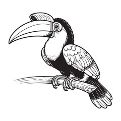 Line art of hornbill bird perched on branch vector - obrazy, fototapety, plakaty