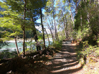 Road near the mountain river on the way to Cajon del Rio Azul near the Argentine town of El Bolson