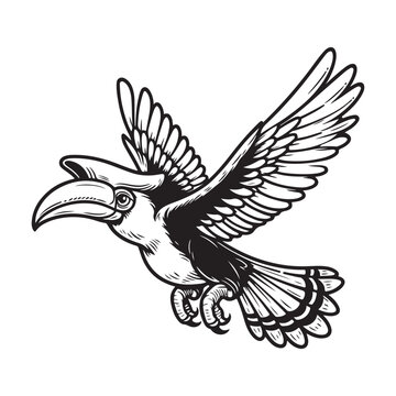 recommend clip art: Line art of hornbill bird flying in the sky vector