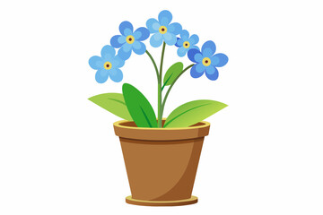 forget me not flower in pot on white background