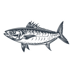 Mackerel fish woodcut style drawing vector illustration