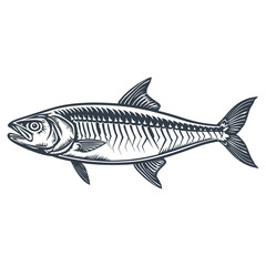 Mackerel fish woodcut style drawing vector illustration