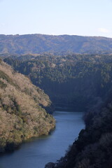 渓谷から眺める春の木々が茂る風景