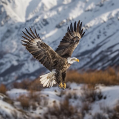bald eagle flying with mountains in the background