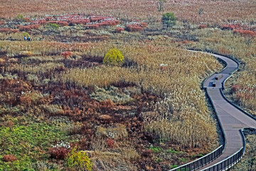 The way on dry field