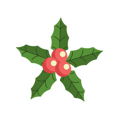 Christmas Decoration