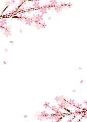 桜　フレーム　　ベクター　シンプル　縦長
