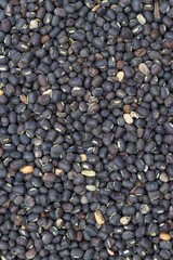 Black Gram or Urad Bean Dal Background with Copy Space. Also Known as Urid Bean, Kalo Dal or Black Matpe in Vertical Orientation