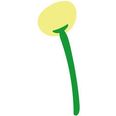 꽃