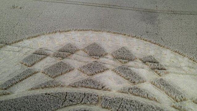 Aerial view looking down West Meon crop circle complex geometric pattern close up on wheat field